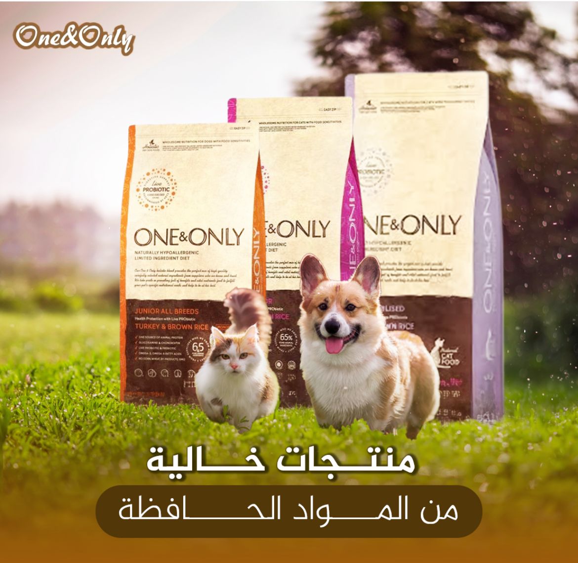 One&Only Dog Dry food
