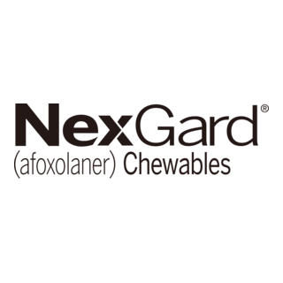 NexGard chewable tablet for dogs