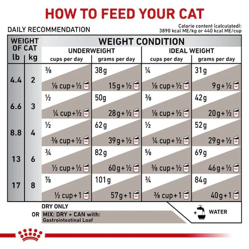 Royal Canin Gastrointestinal fiber response For Cat 2KG