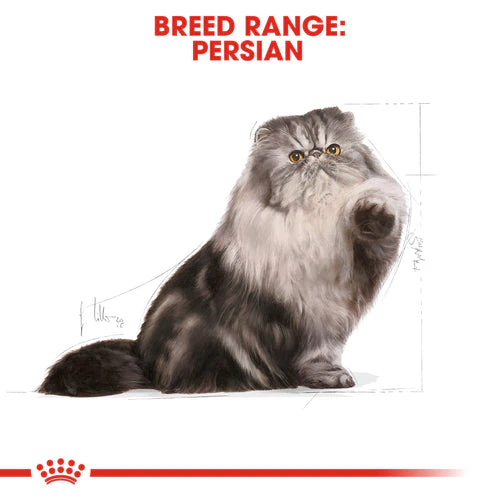 Royal Canin Persian Adult 4 kg