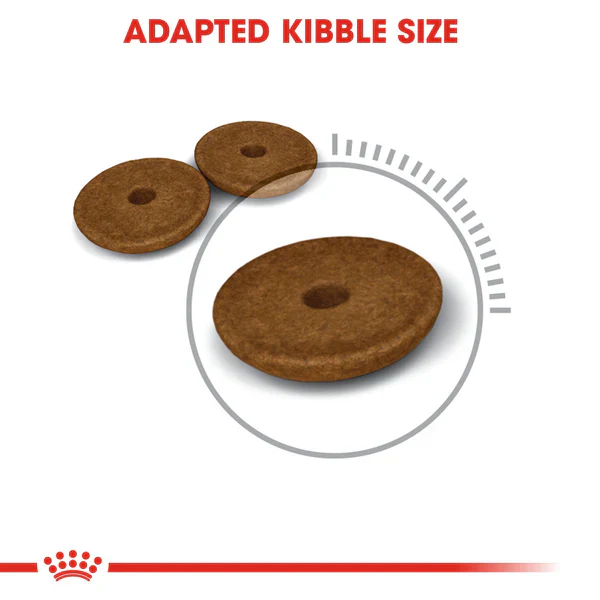 Royal Canin digestive care dry food for cats 2 kg