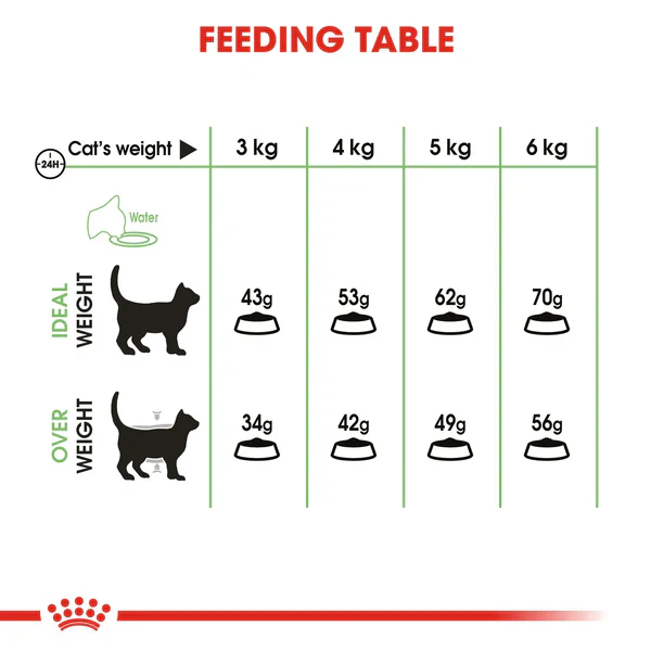 Royal Canin digestive care dry food for cats 2 kg