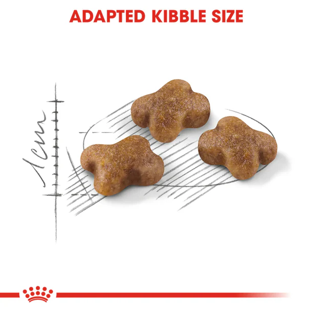Royal Canin Kitten up to 12 months 4 kg