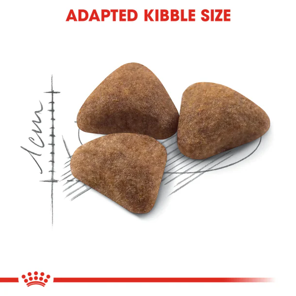 Royal Canin Indoor27- Dry food for indoor adult cats 2 kg