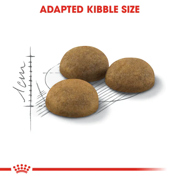 Royal Canin Indoor Long Hair Dry Food for Indoor long-haired cats 2 kg