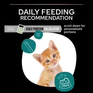 PURINA® PRO PLAN® Original Kitten 1-12 months Rich in chicken - (400G)