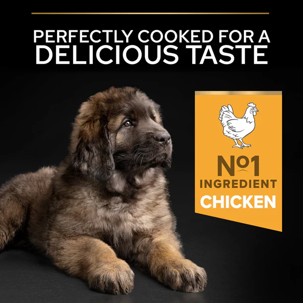 PURINA® PRO PLAN® Large Robust Puppy with OPTISTART® Rich in Chicken Dry Food 3KG