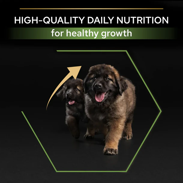 PURINA® PRO PLAN® Large Robust Puppy with OPTISTART® Rich in Chicken Dry Food 3KG