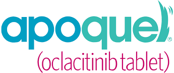 Apoquel tablet for dogs