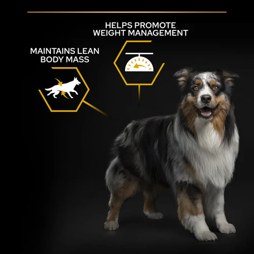 PURINA® Pro Plan® All Sizes Adult Light / Sterilised with OPTIWEIGHT®, Rich in Chicken Dry Dog Food 14KG