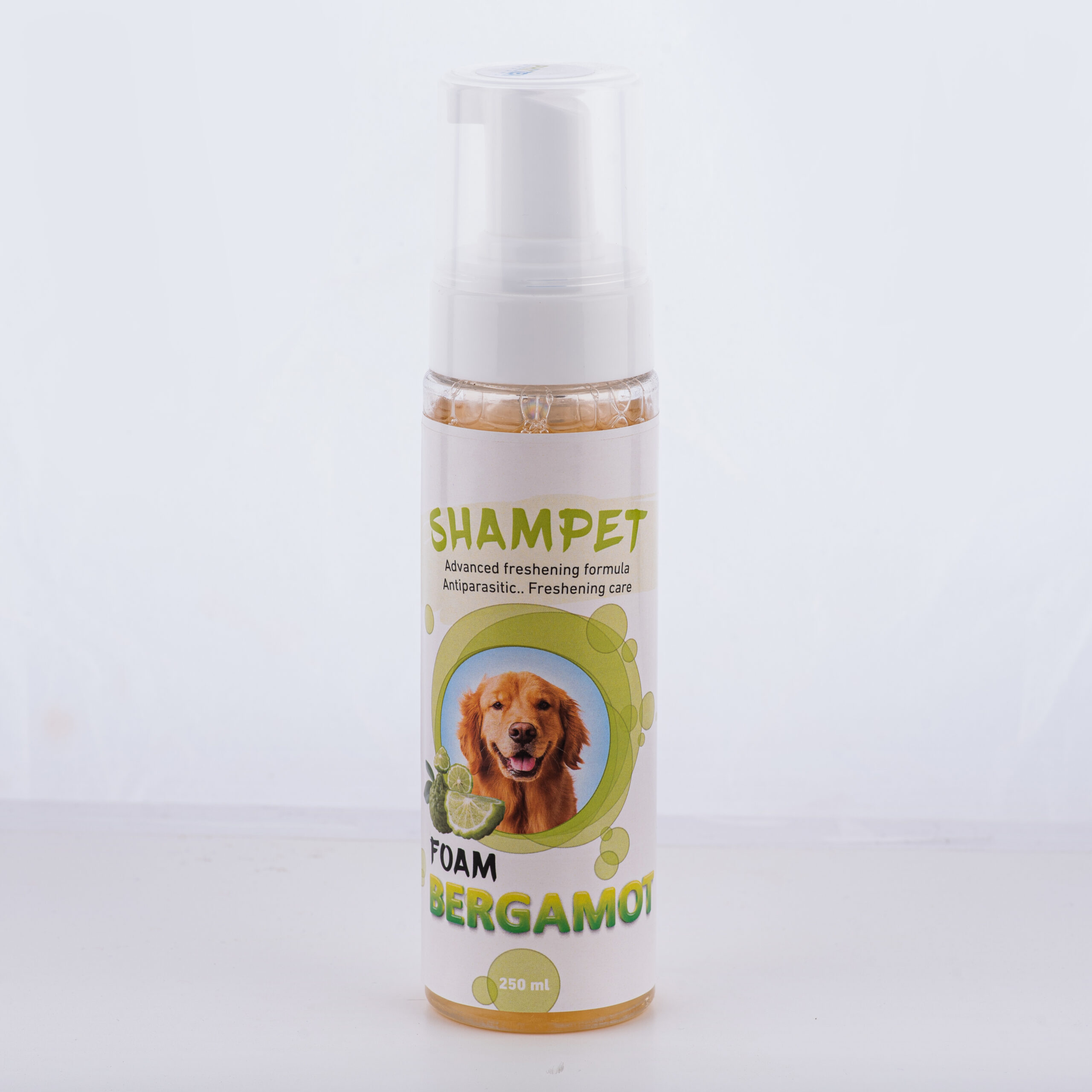 Shampet