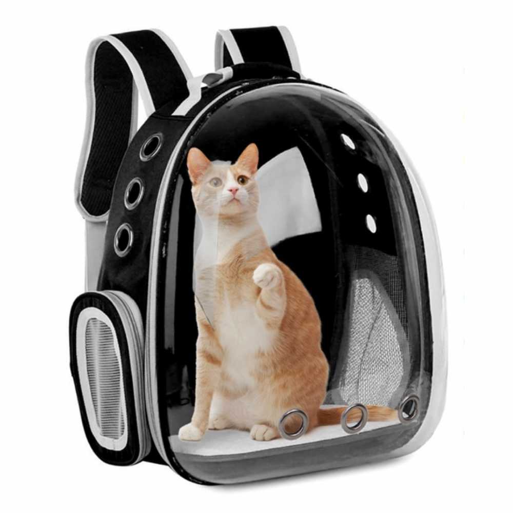 pet boarding