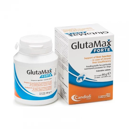 Glutamax Forte (Liver Support) – 120 Tablets