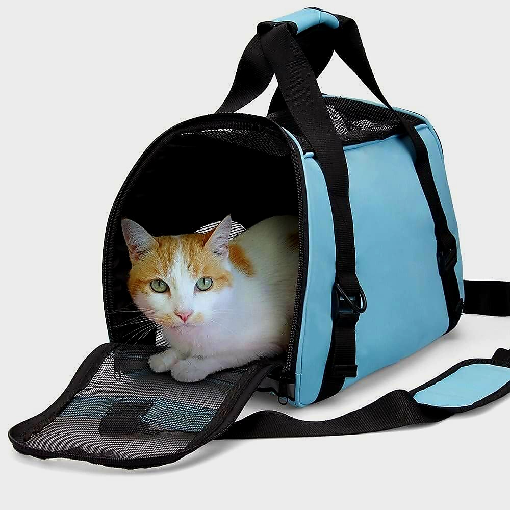 Nunbell Cat Back Bag – Portable Cat Holder FLD180312