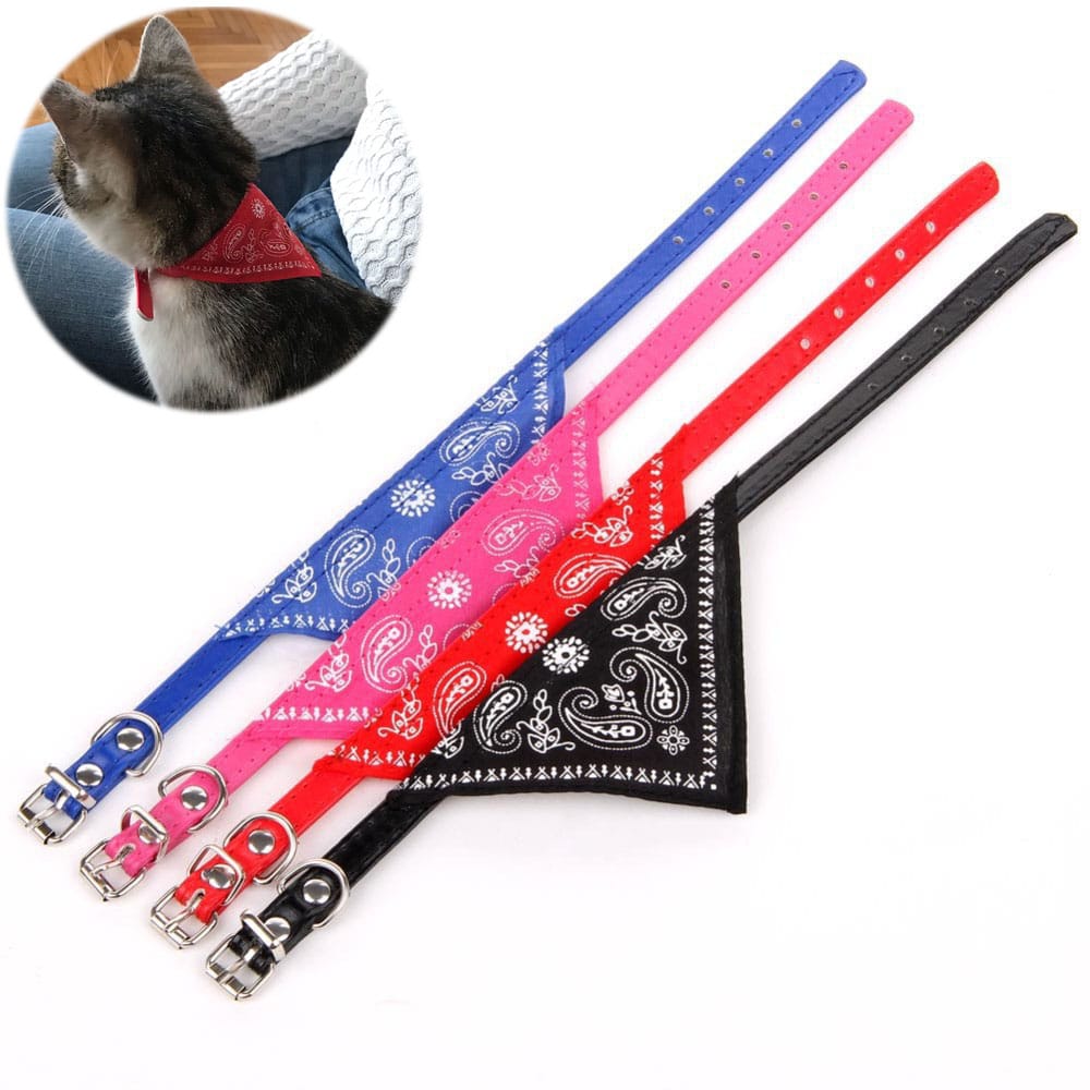 cat collar