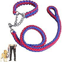 large collaer with braided leash