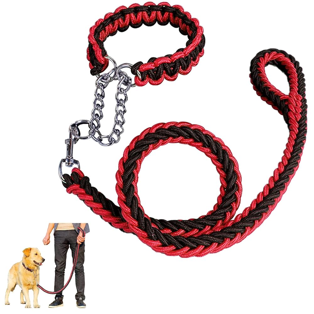 Medium collaer with braided leash