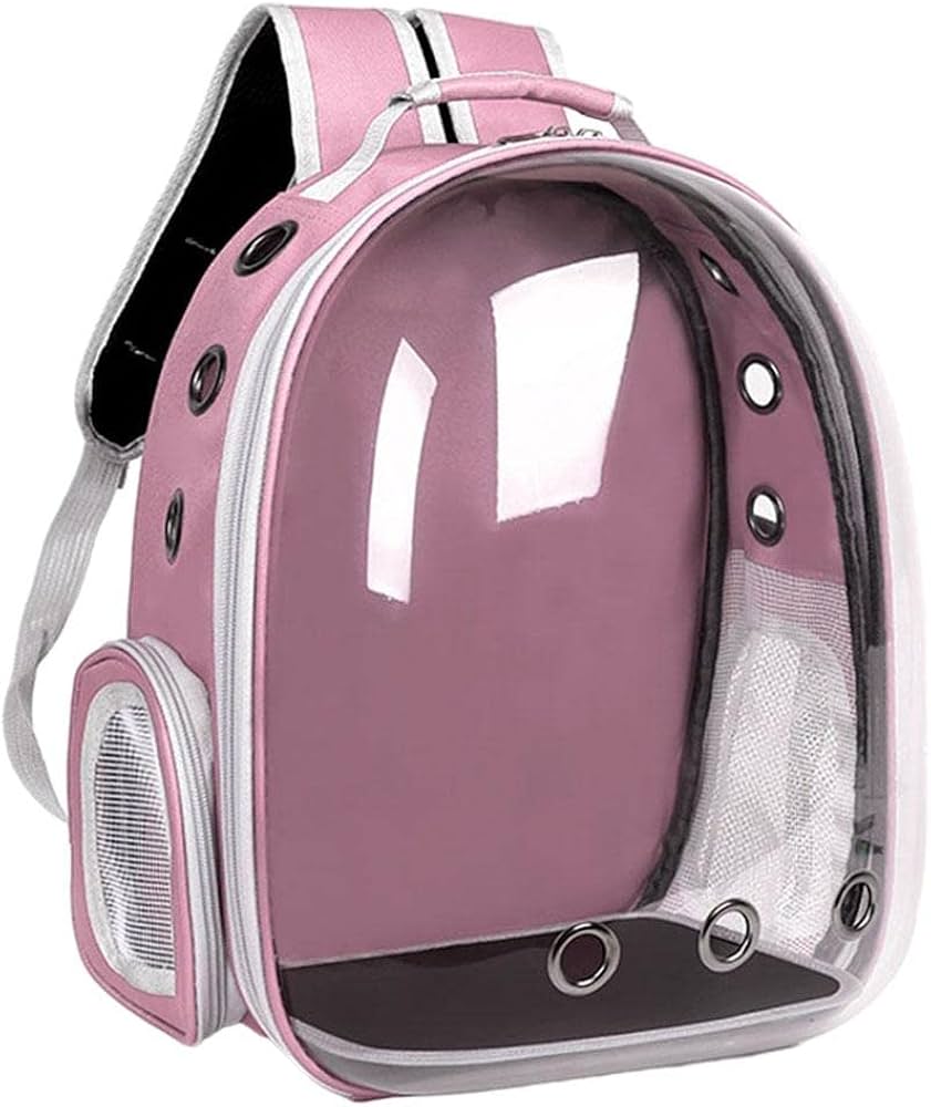 clear bag back