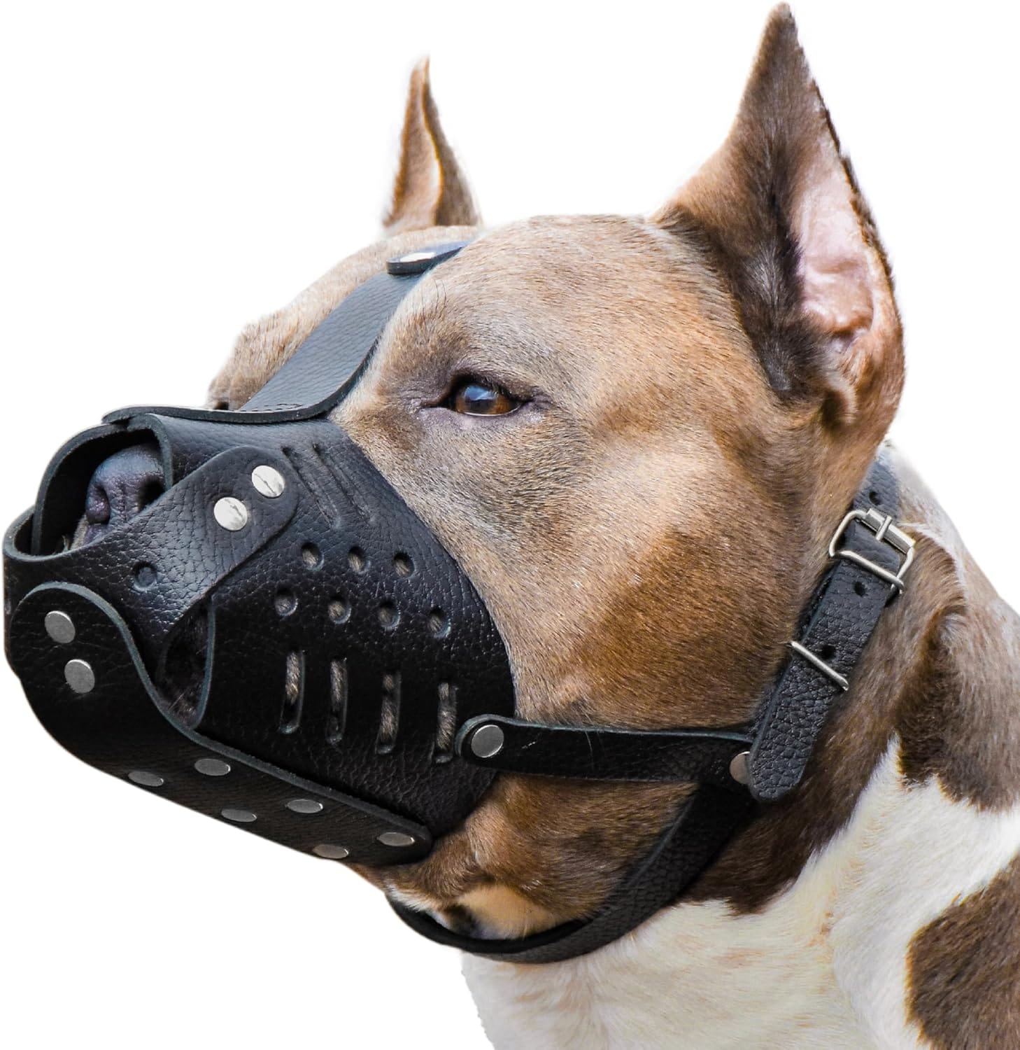 Leather Muzzle for Dogs L