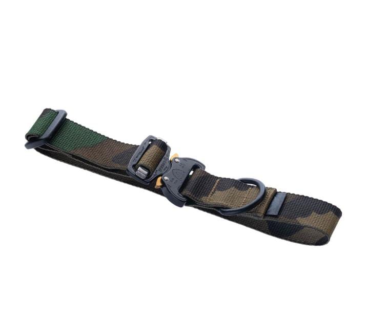 Military Dog Collar S