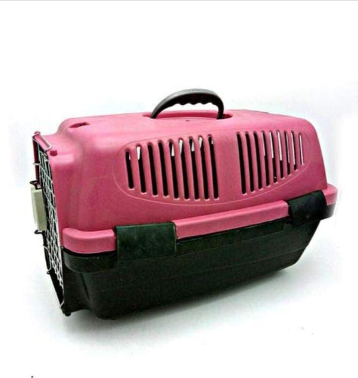 Cat Box L
