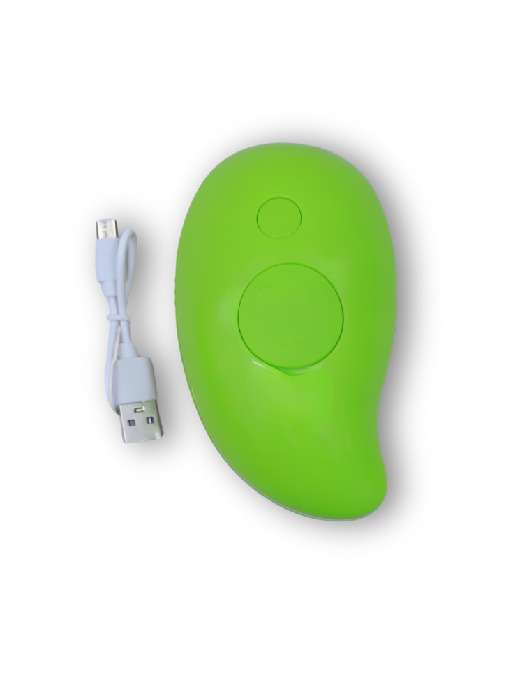 steam brush
