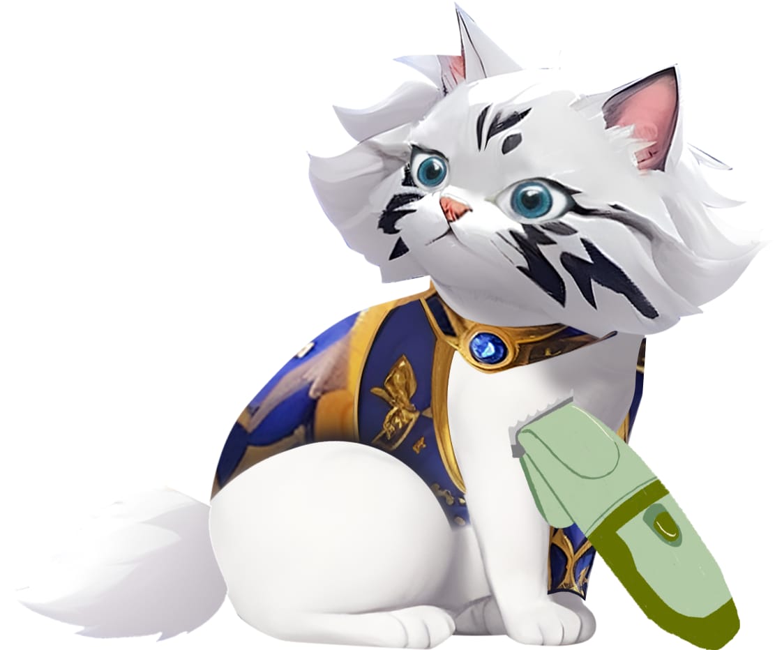 Cat Grooming