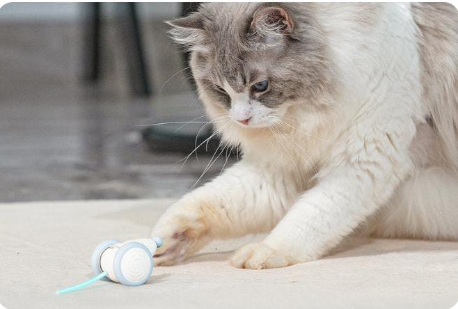 Mouse Cat Toy