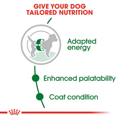 Royal Canin Mini Adult 2kg - Dry food for small dogs up to 10 KG - form 10 months to 8 years