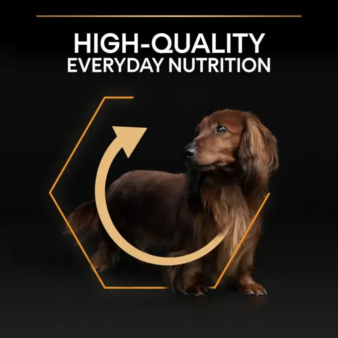 Purina Pro Plan Dry Food with Chicken for Mini Breed Adult Dogs 3 kg