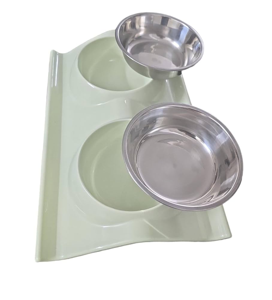 Plastic Plate with 2 Stainless Steel Bowls