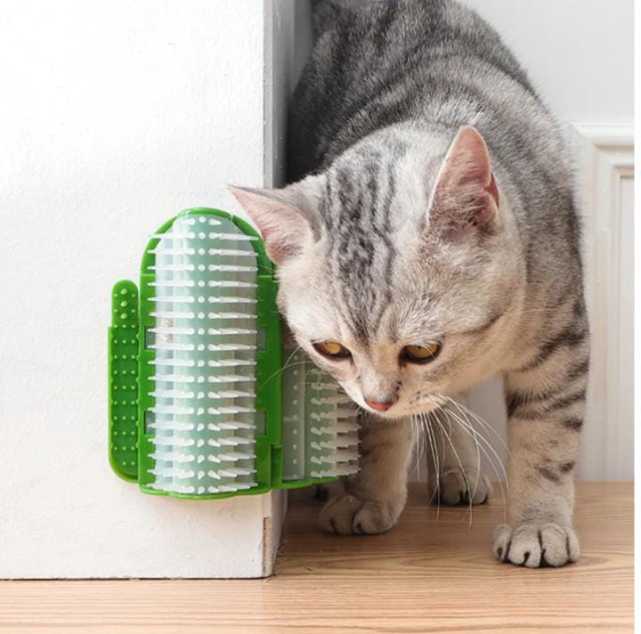 Cat self-grooming Brush with Catnip