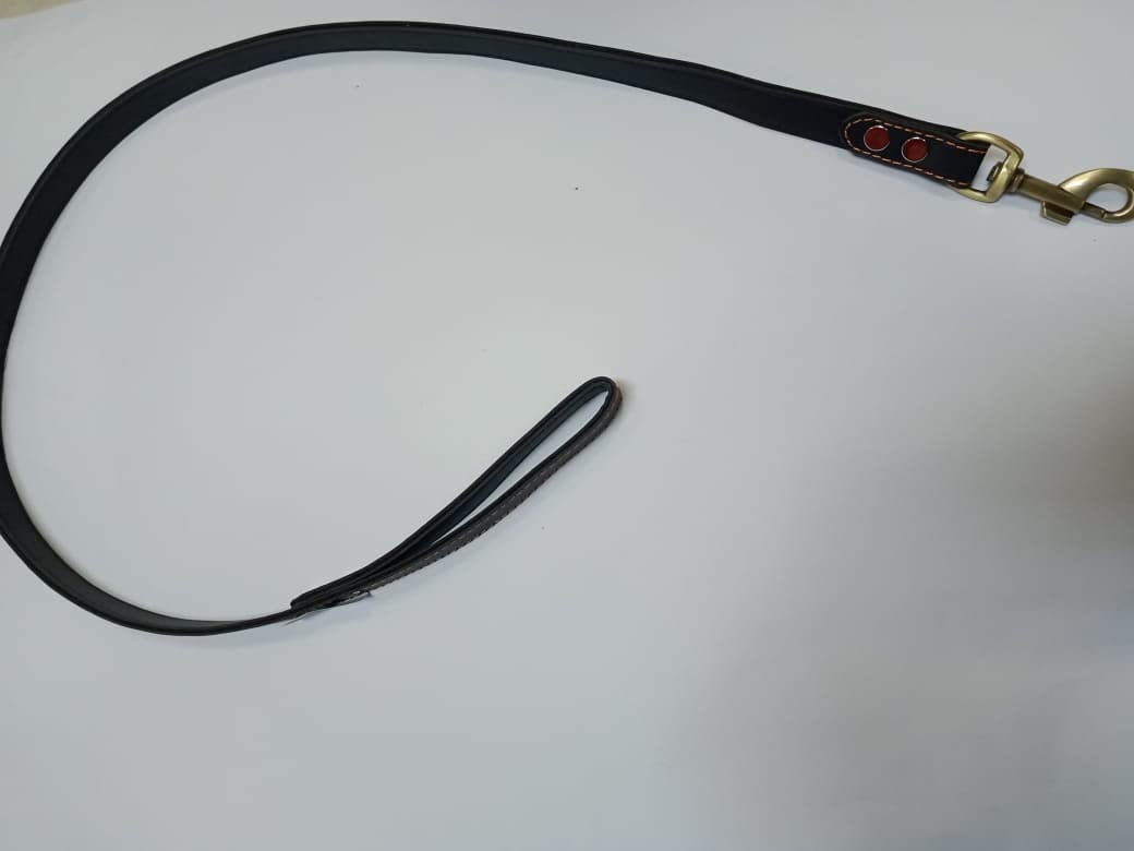 Leather Leash for Dogs