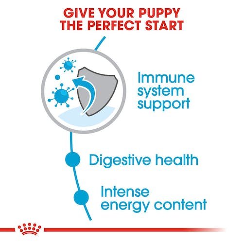 Royal Canin Mini Puppy Dry food for small dogs 2 kg