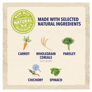 Purina Dog Chow Adult (1+) with Chicken – Complete Dog Food