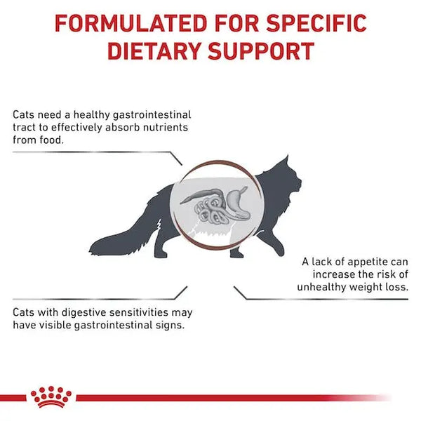 Royal Canin Gastrointestinal Dry Food for Cats 400 gm