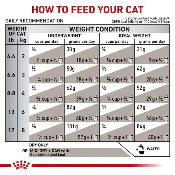 Royal Canin Gastrointestinal Dry Food for Cats 400 gm
