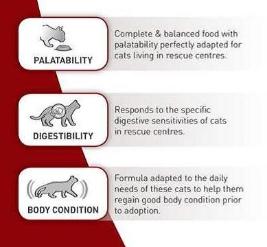 Royal Canin SC 365D For Cats 15 Kg - 15kg