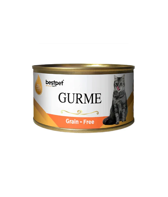Best Pet Gourmet 100 gm - Salmon