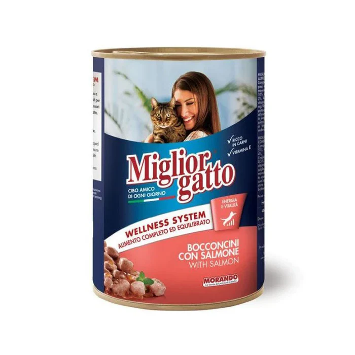 Miglior can for cats - Salmon