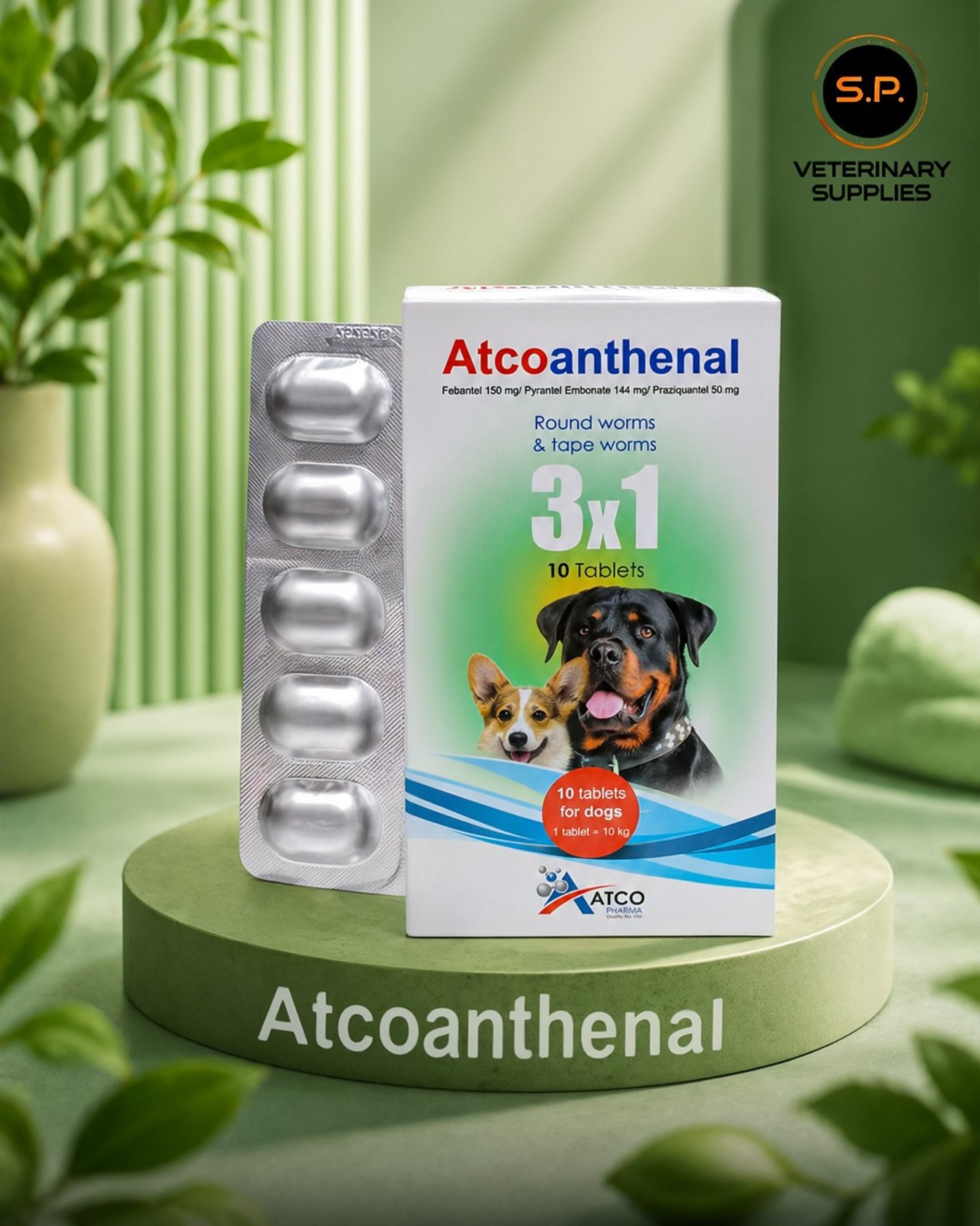 Keep Your Pets Healthy and Happy
