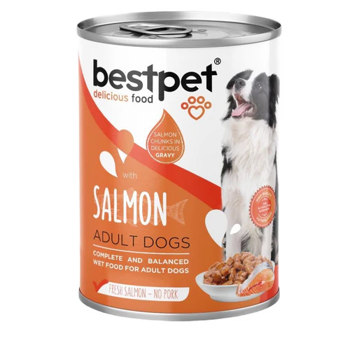 bestpet  can for dogs - Salmon