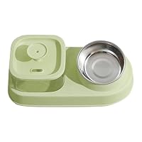 Dual Pet Feeding Bowl with Water Dispenser