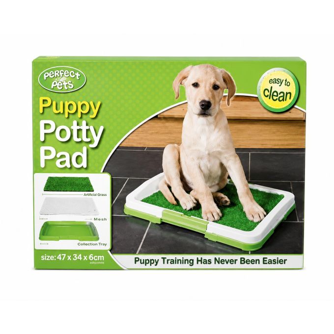 Dog Training Tray with Artificial Grass
