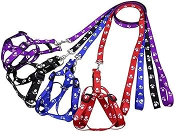 Pet Harness & Leash Set – Printed Design – S, M, L, XL