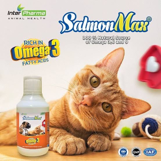 SalmonMax Omega-3 Supplement for Dogs & Cats