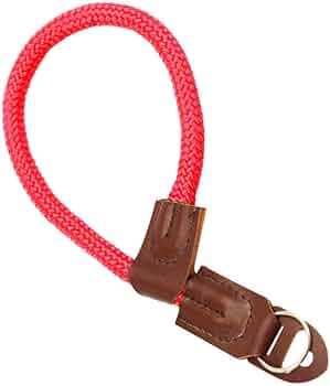 Pawaya Large Dog Collar