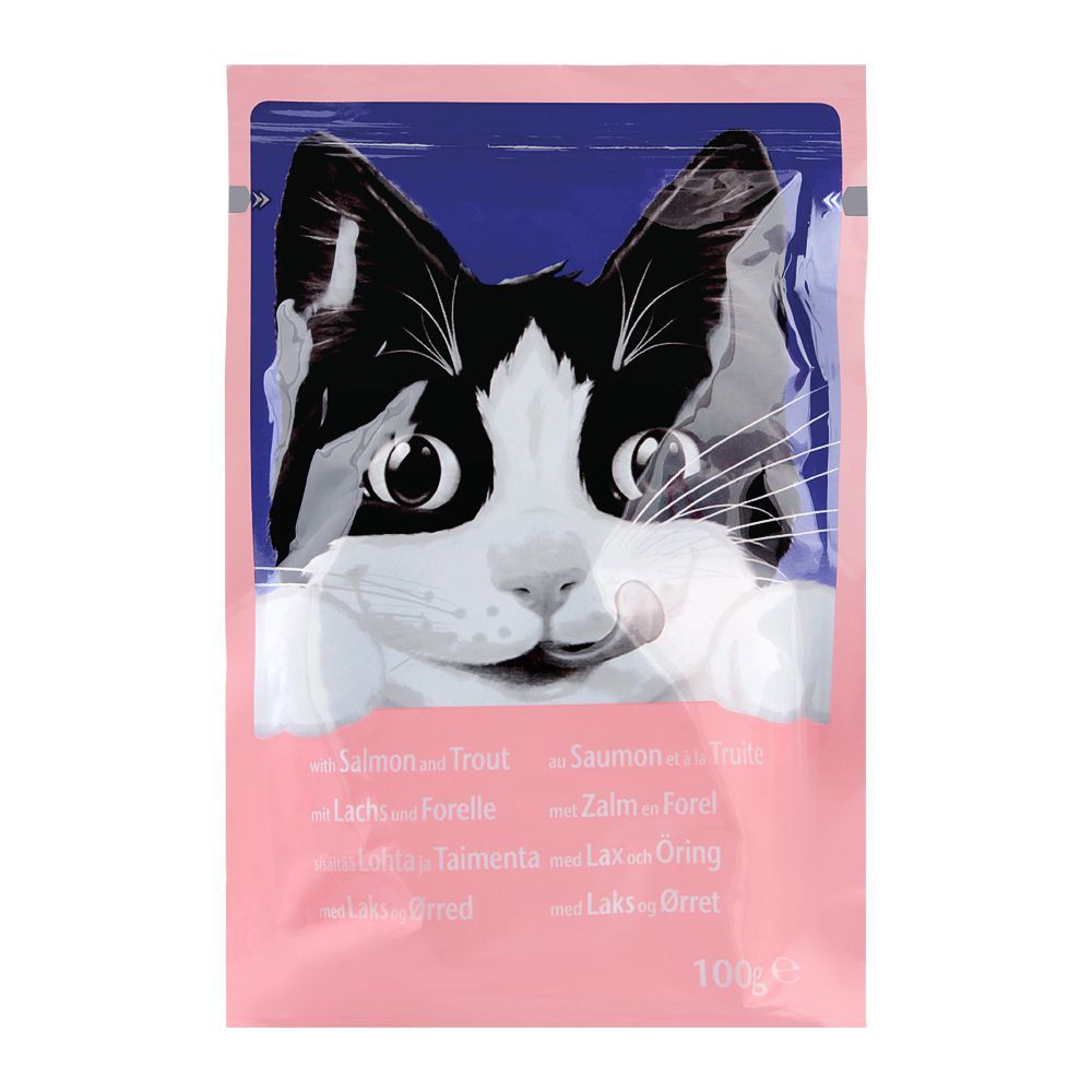 Felix cat wet food  pouch with salmon in jelly 100 gm