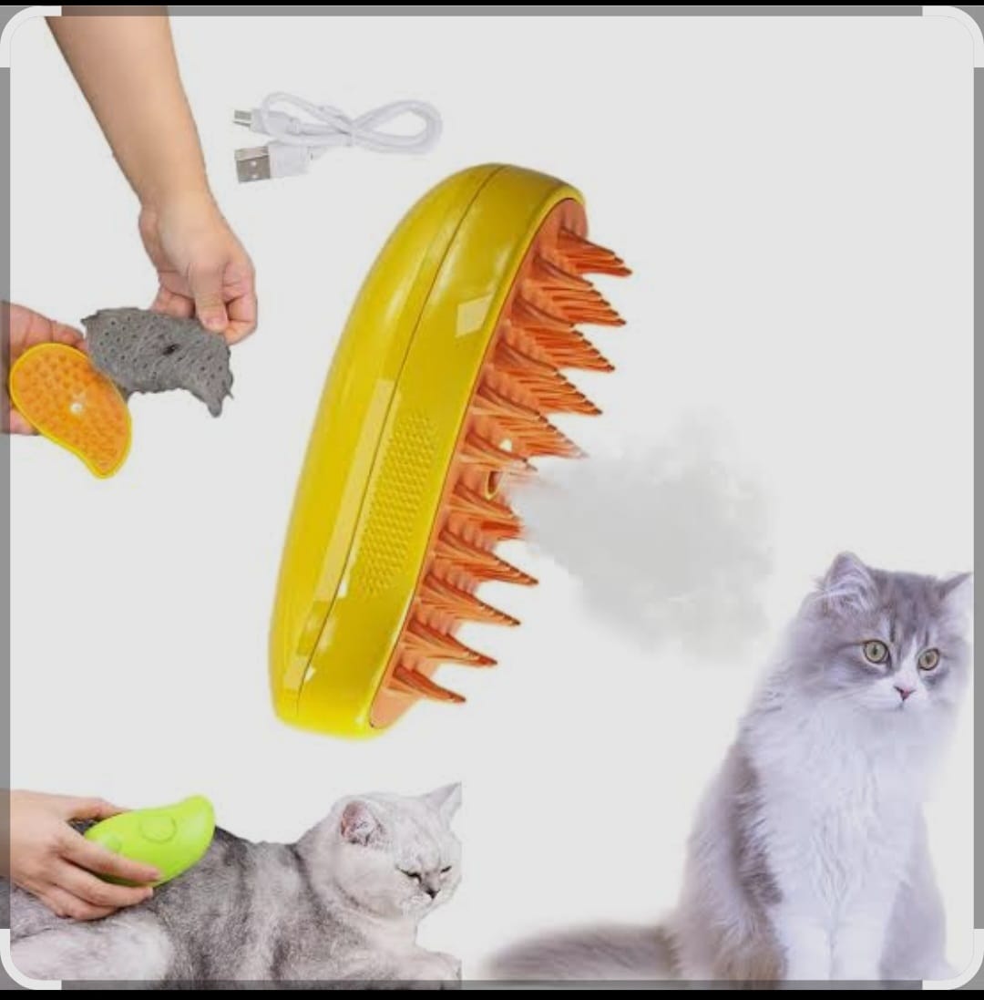 steam brush