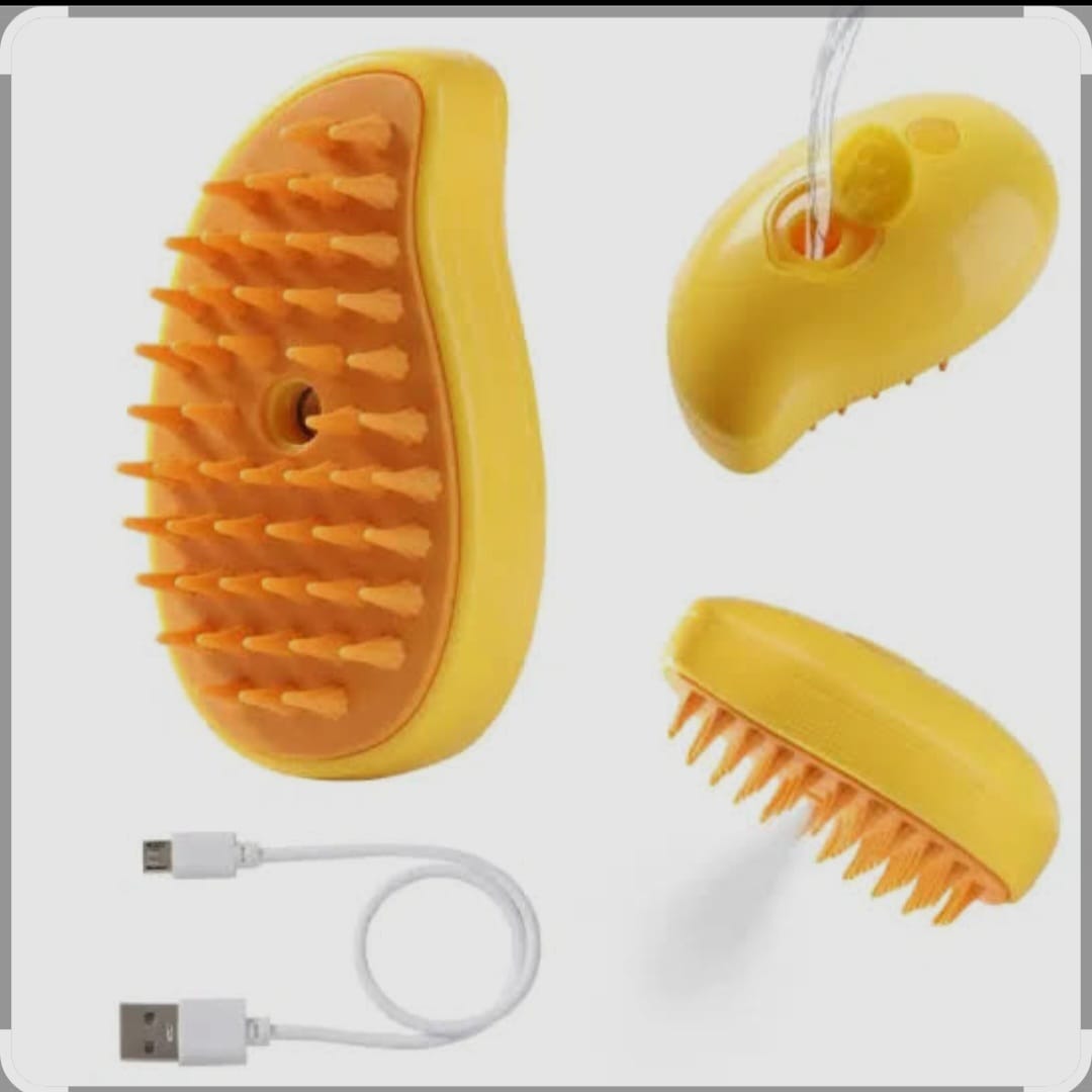 steam brush